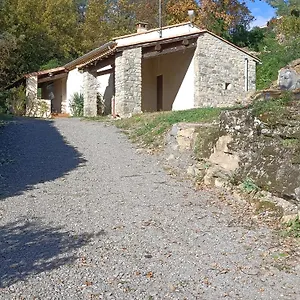 Au Pied Du Grand Cedre Vesseaux